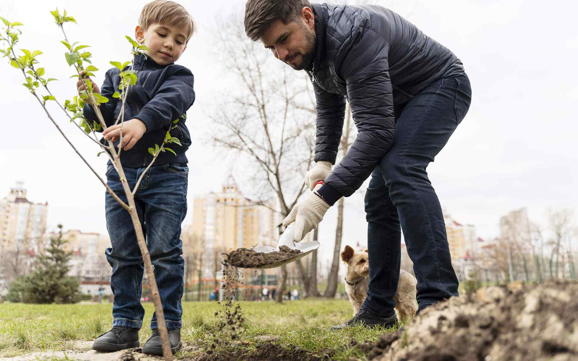 Project: planting 300 trees in the city