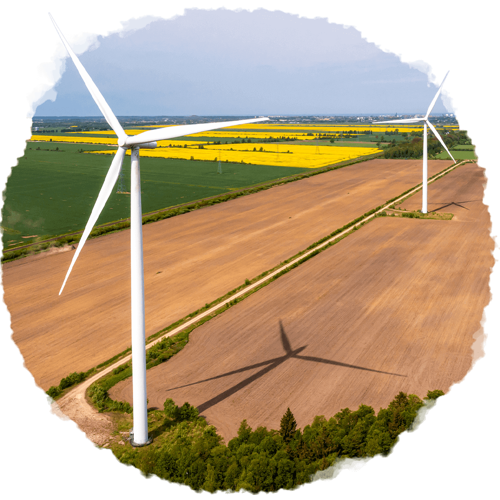 https://projectdragonfly-e.com/wp-content/uploads/2022/02/image_01_home_01.png